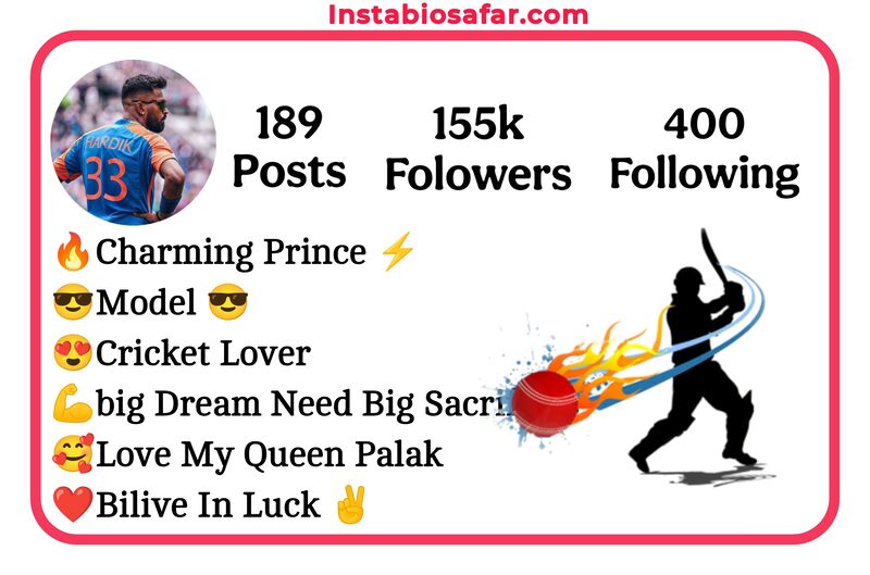 Instagram Bio For Boys Cricket Lovers
